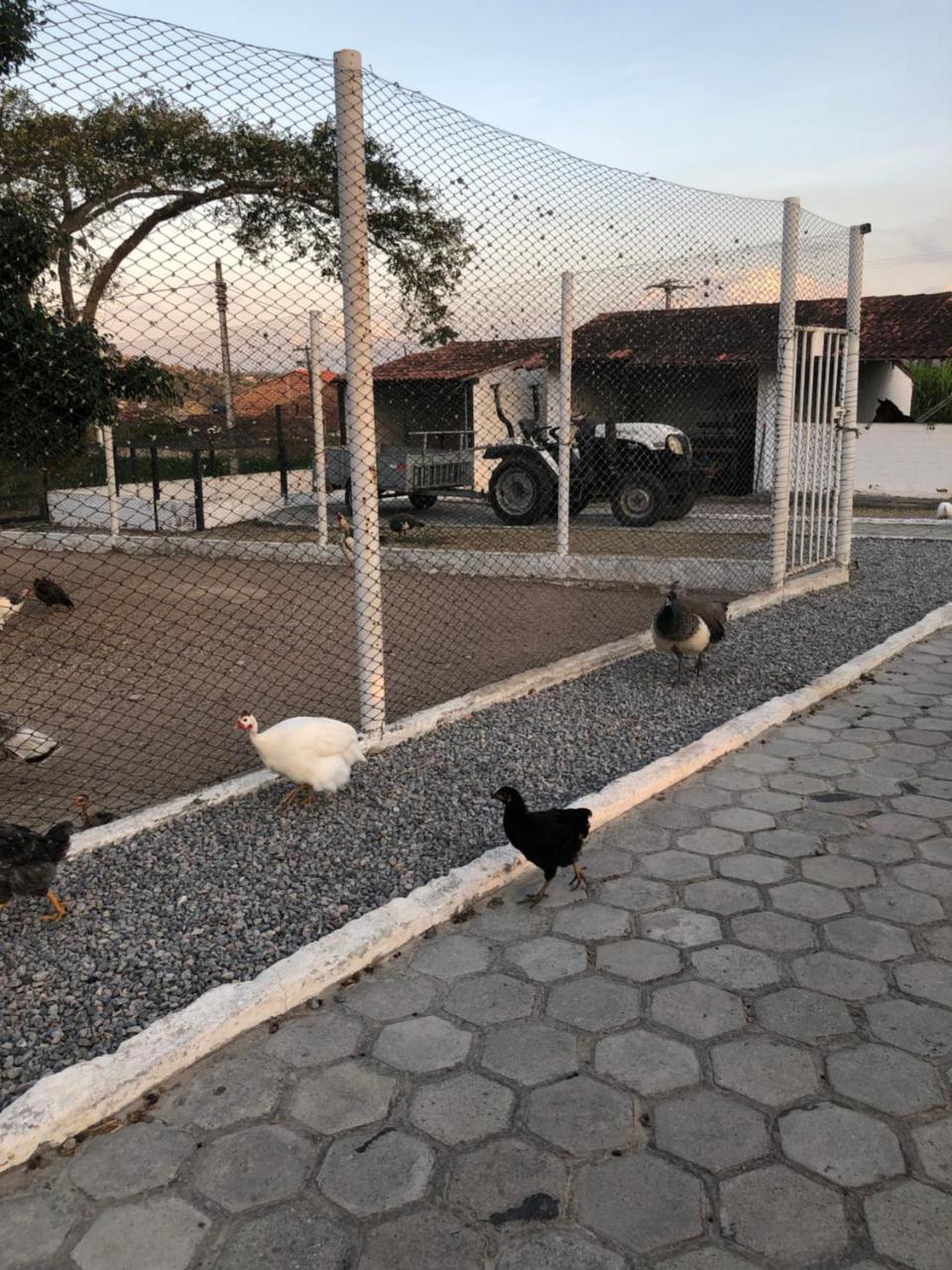 Flat 301 Condominio Villa Hipica - Gravata, Pe Dış mekan fotoğraf